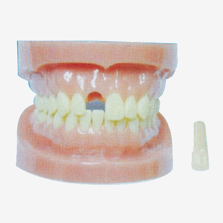 жʽo˜ģ