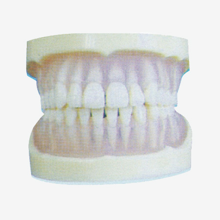 ȫ͸ܛz˜ģ